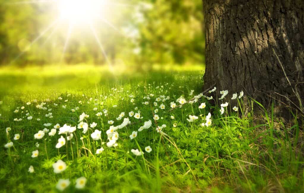 Bedrijfsuitje in de natuur