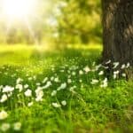 Bedrijfsuitje in de natuur