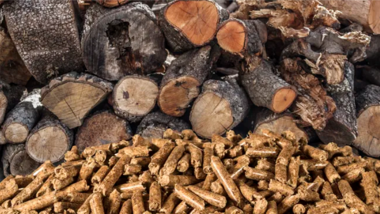 Brandhout op de foto met biomassa voor verwarming