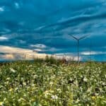 Rijd op schone wind: duurzame shortlease bij Supershortlease
