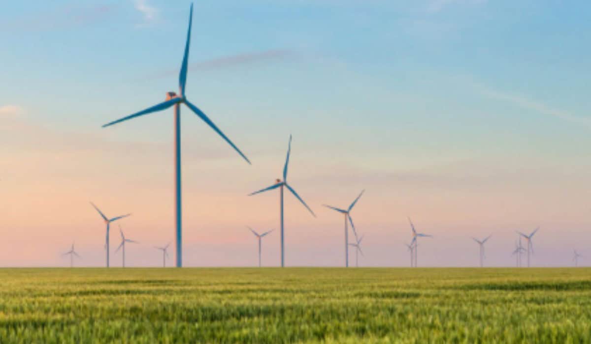 Toekomst van Groene Bedrijven met Windenergie en Duurzaam Ondernemen Nederland